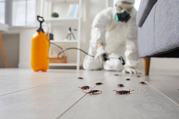Commercial Rodent Management in Columbus Grove